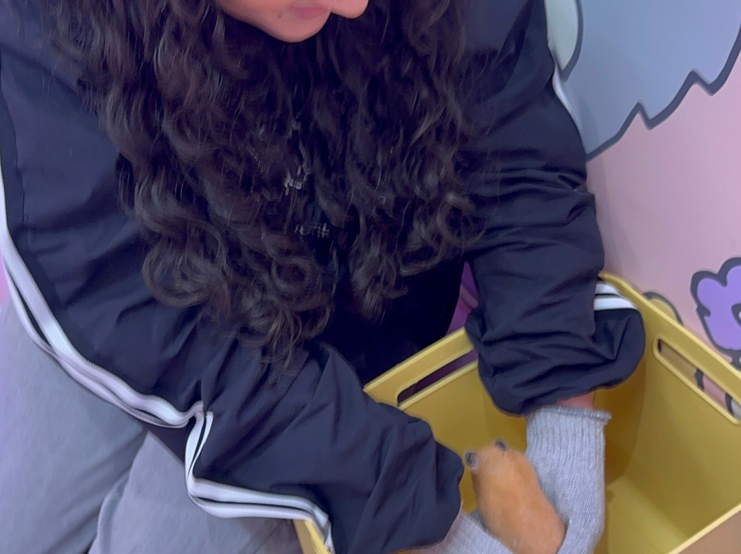 Harajuku Kawaii Land Kyun Kyun-涩谷区必去景点