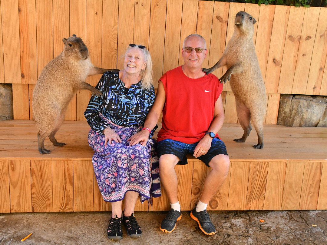 Amber Cove-普拉塔港必去景点