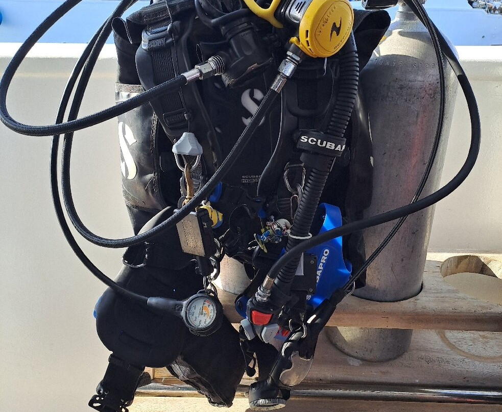 Ducks Diving Safaga-Safaga必去景点