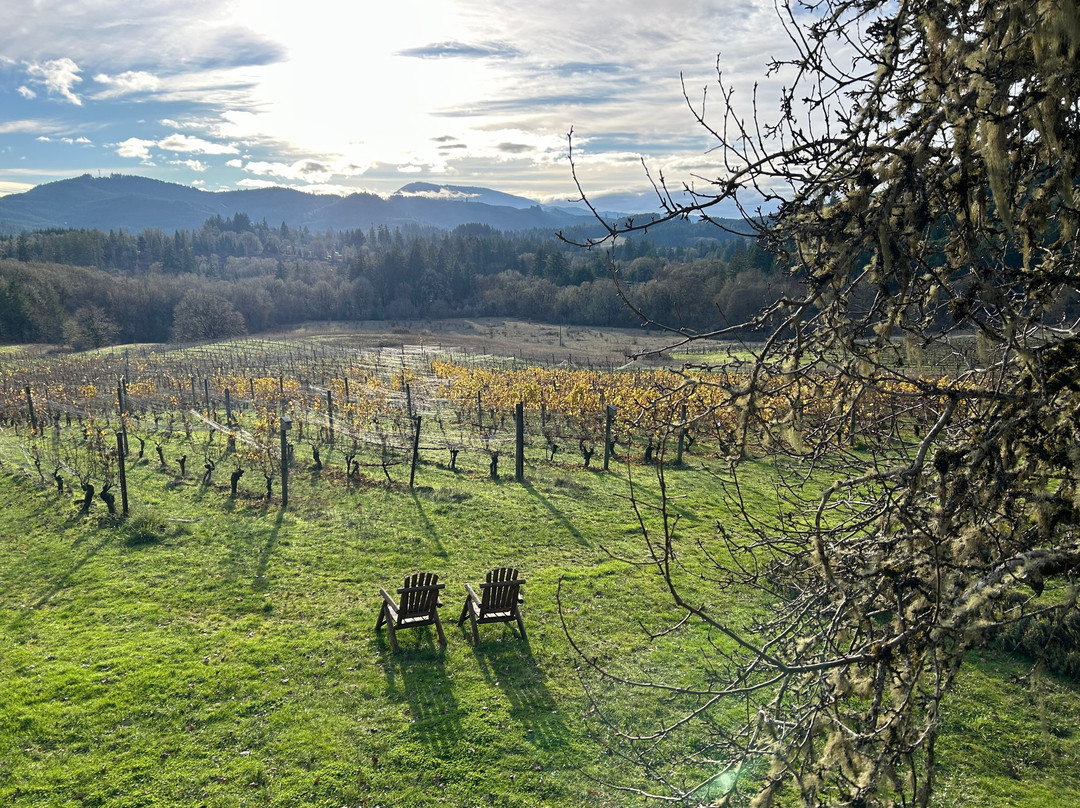 Lumos Wine Company-Philomath必去景点