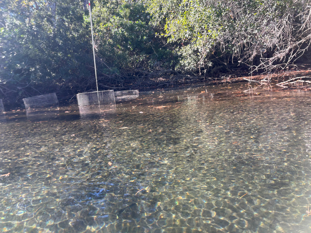 Weeki Wachee Kayaking-Weeki Wachee必去景点
