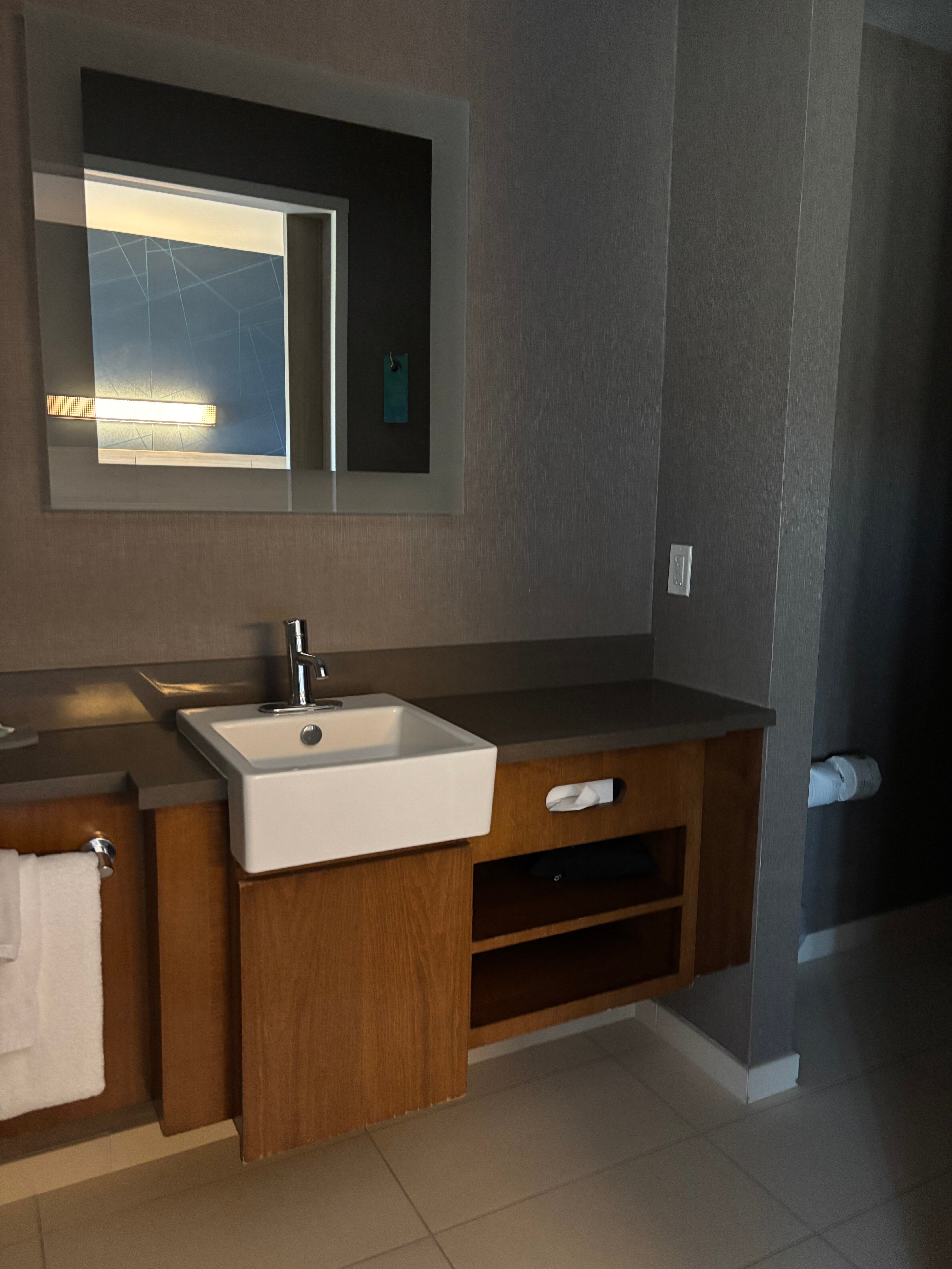 SpringHill Suites by Marriott Gallup-浴室