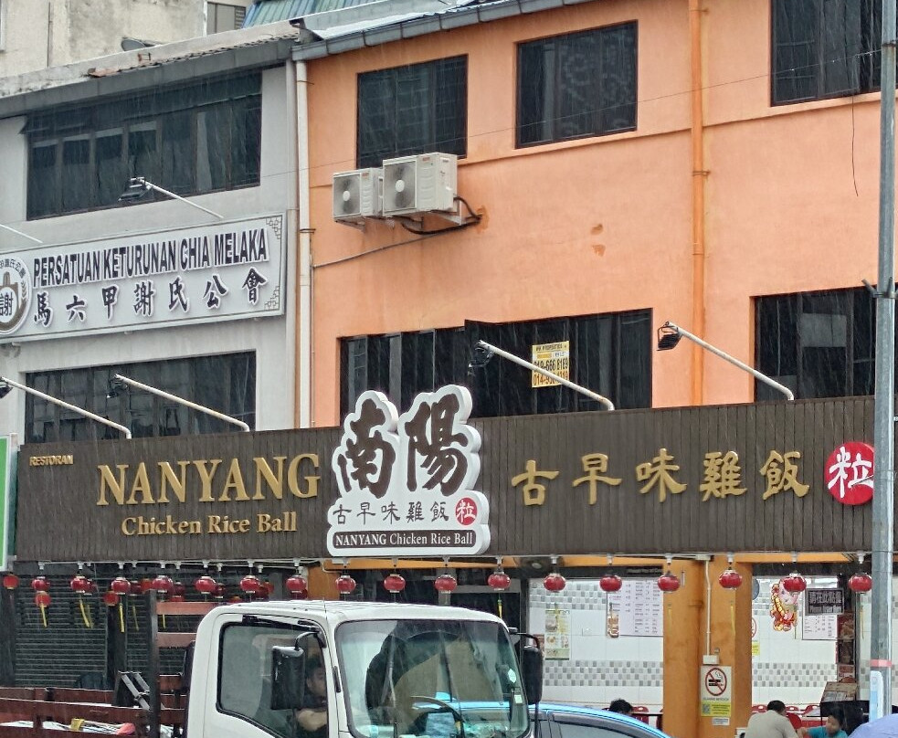 Nanyang Chicken Rice Ball