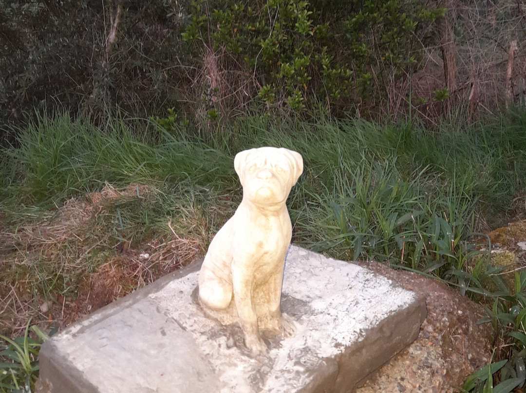 Molesey Heath Nature Reserve-West Molesey必去景点