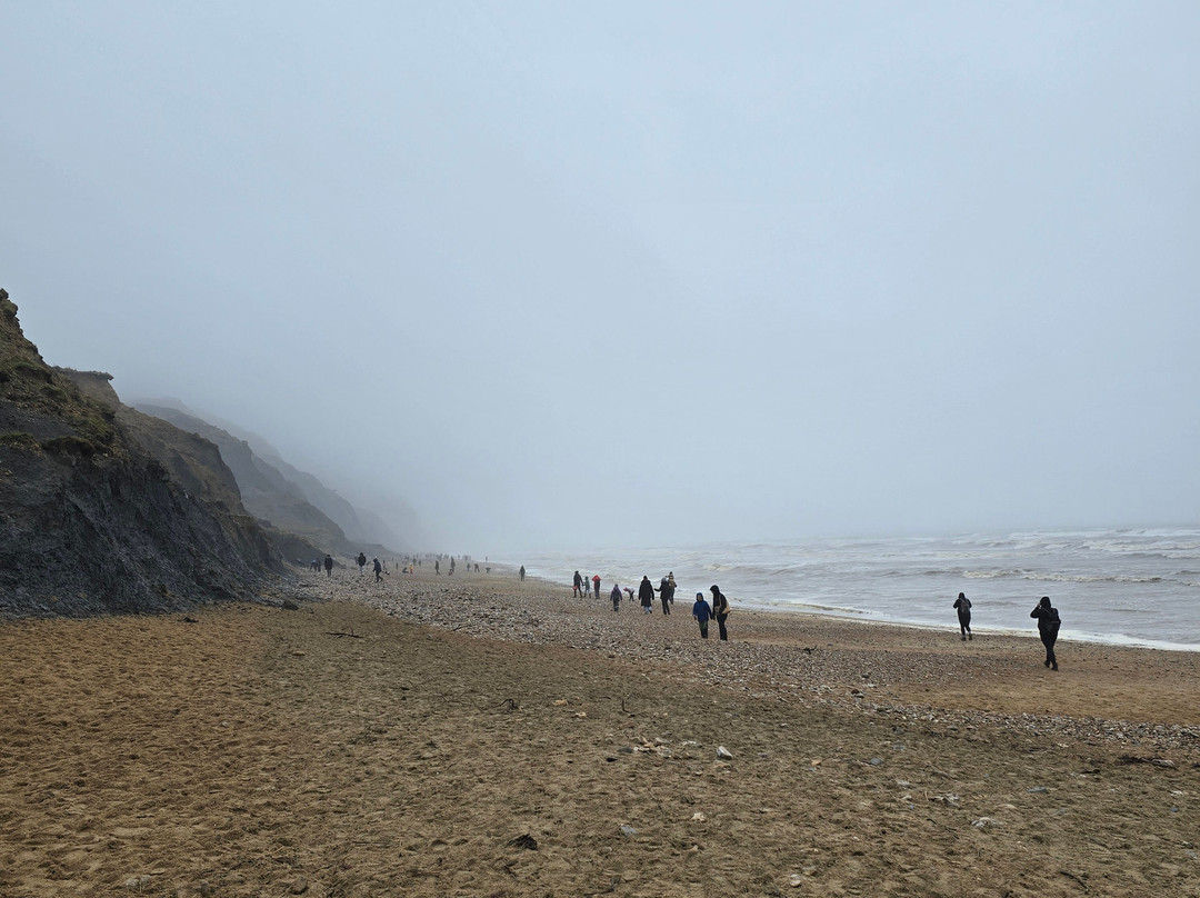 Charmouth Beach-Charmouth必去景点