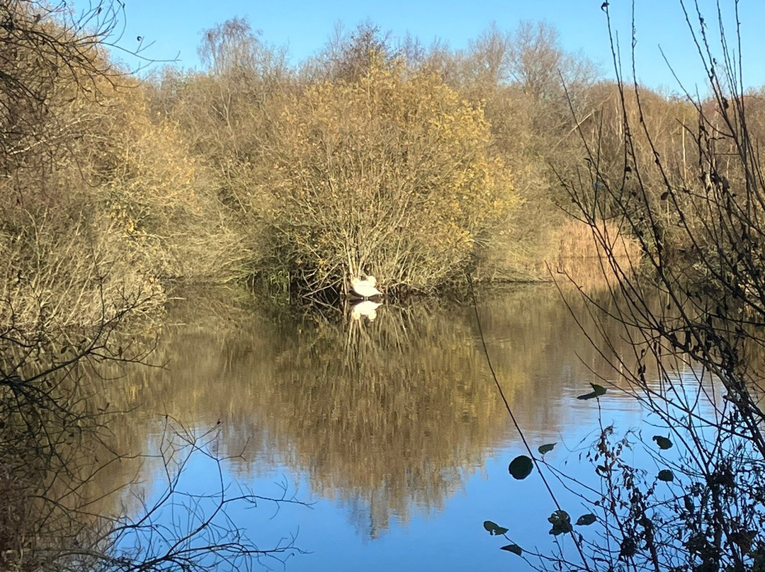 Idle Valley Nature Reserve-Retford必去景点