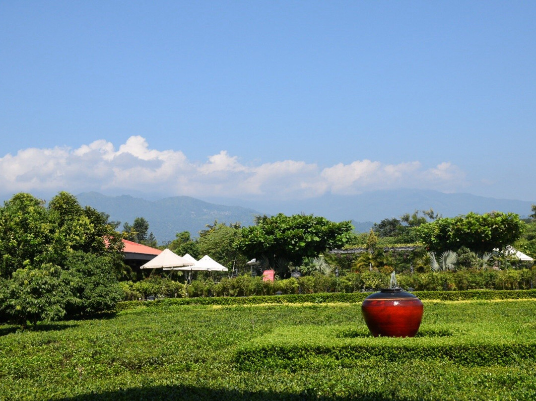 MAYFAIR Tea Resort主图