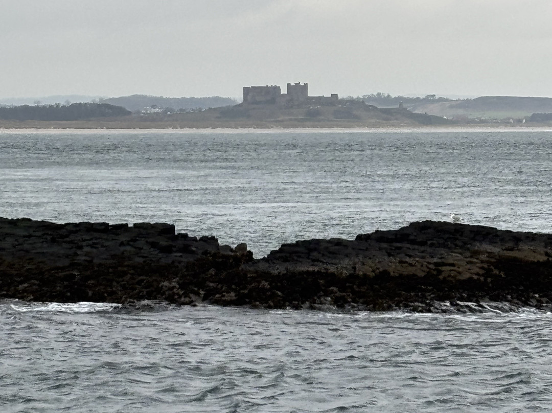 Billy Shiel's Boat Trips-Seahouses必去景点