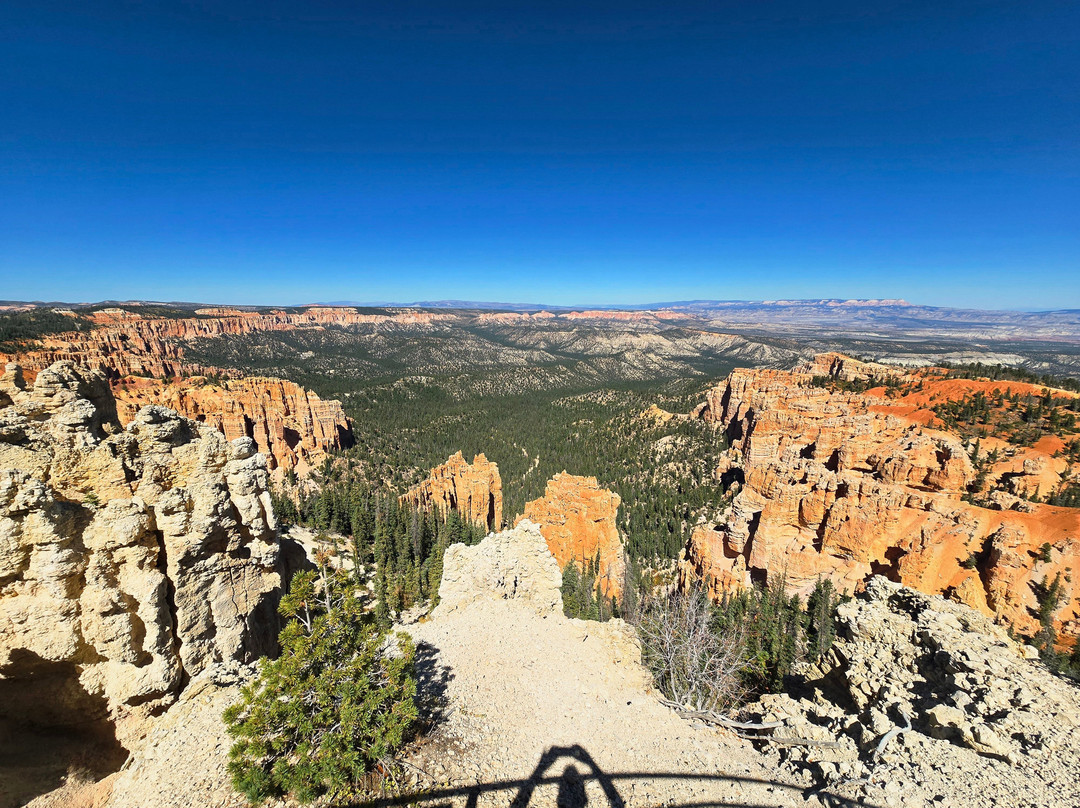 Rainbow Point-布莱斯峡谷国家公园必去景点