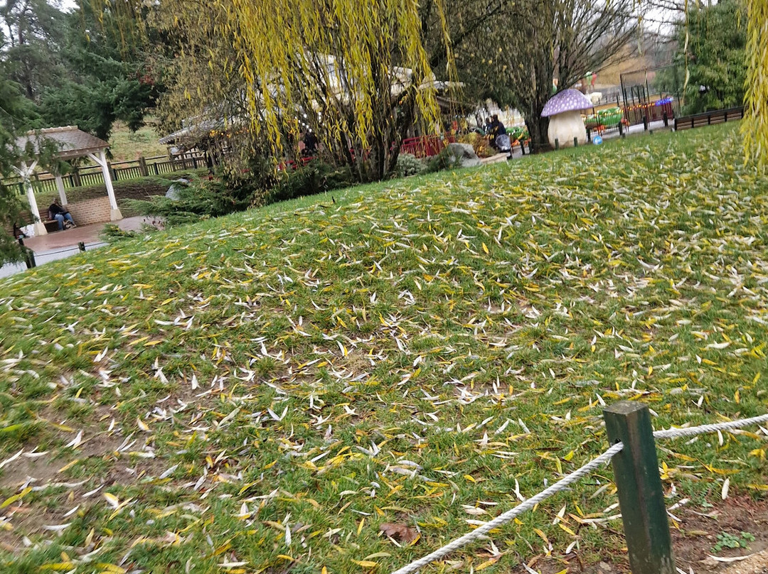 Papéa Parc-Yvre-l'Eveque必去景点