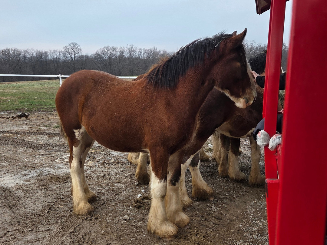 Warm Springs Ranch-Boonville必去景点