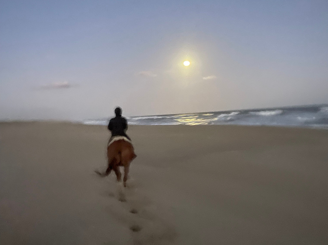 Eco Equus Cabalgatas-La Pedrera必去景点