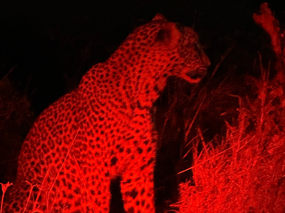 Rhythms of Nature-内罗毕必去景点