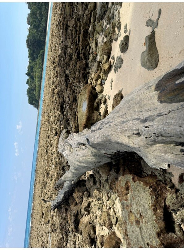 NomadicTribes | Andaman-Swaraj Dweep必去景点