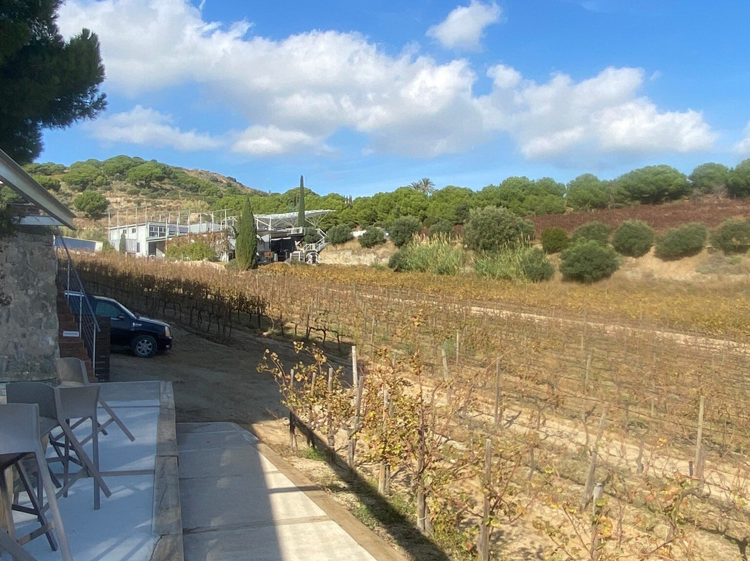 Alta Alella-Alella必去景点