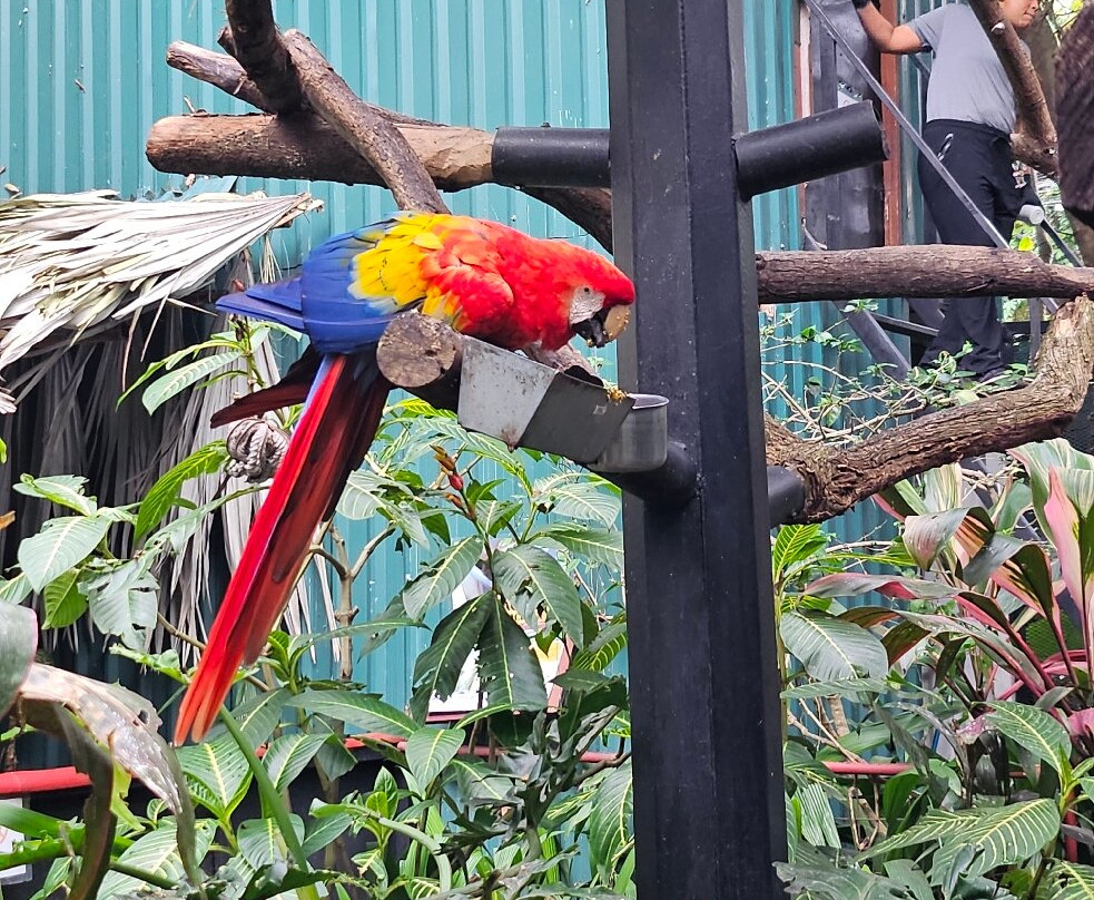 Refugio Animal De Costa Rica-圣安娜必去景点