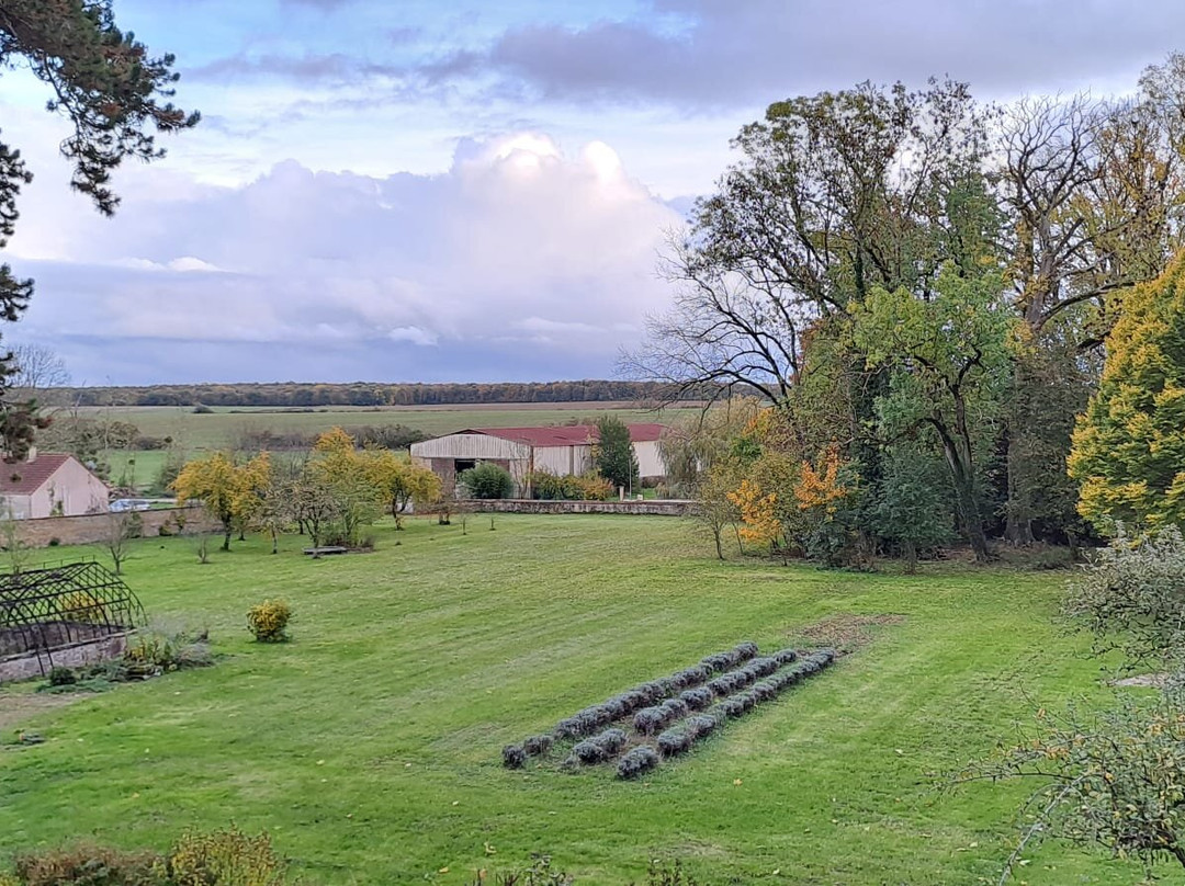 Le Chateau de Puxe主图