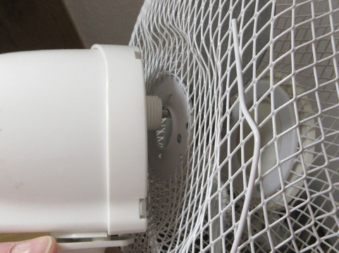 乌尔姆施图本酒店主图