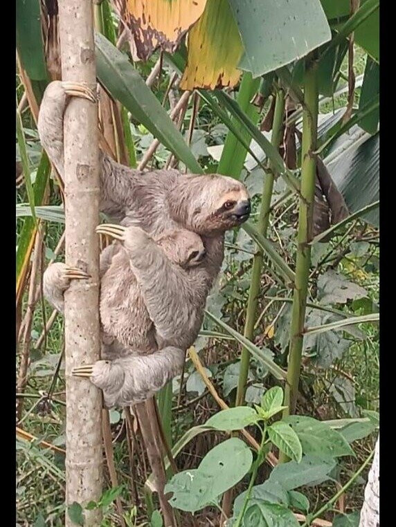 Nick's Adventures Bolivia-圣克鲁斯省必去景点