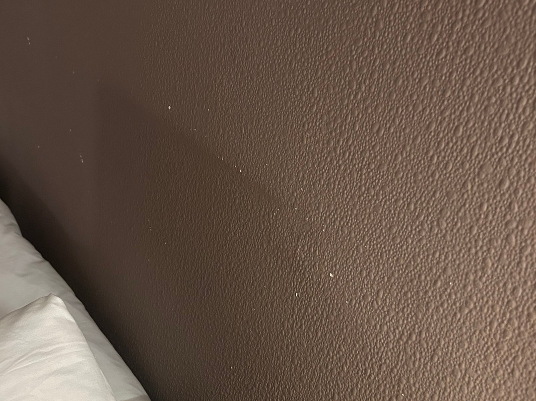 奥利弗克伦威尔酒店主图