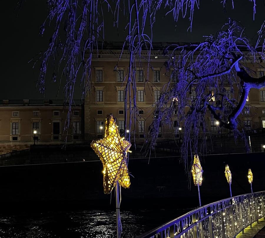 Stoccolma con Mary - visite guidate-斯德哥尔摩必去景点