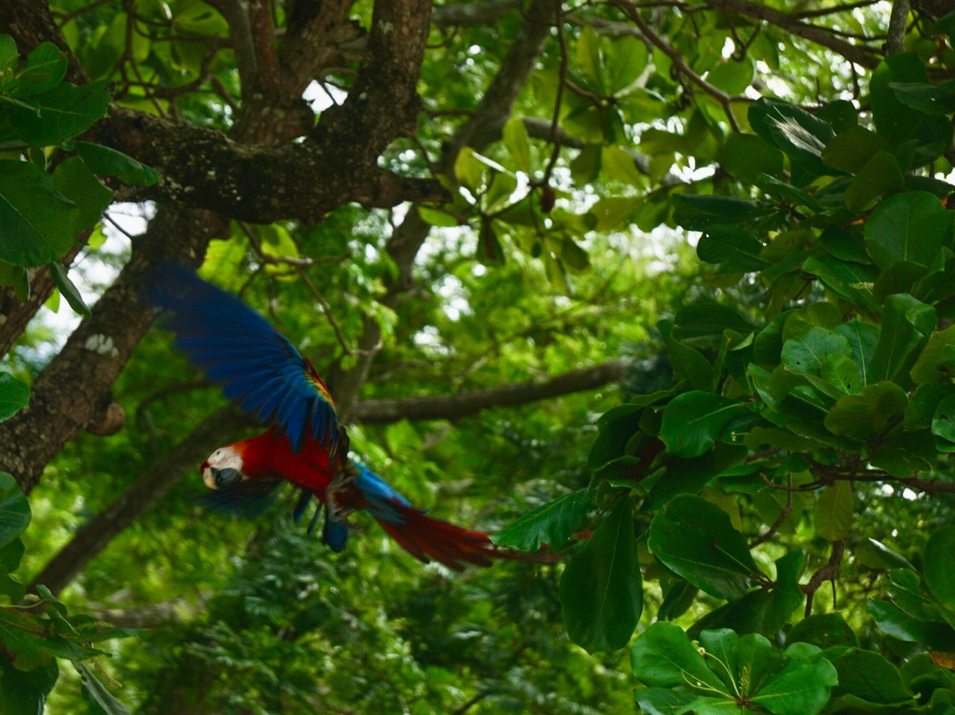 Playa Blanca-艾拉杜拉必去景点
