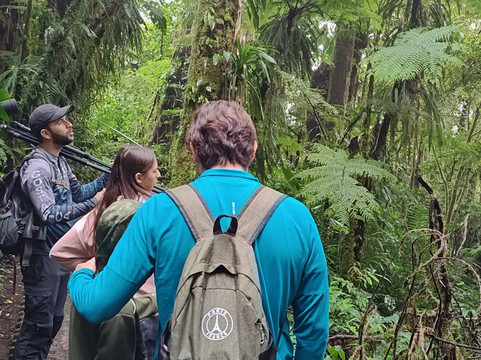 Arenal Nature Tours-Muelle必去景点