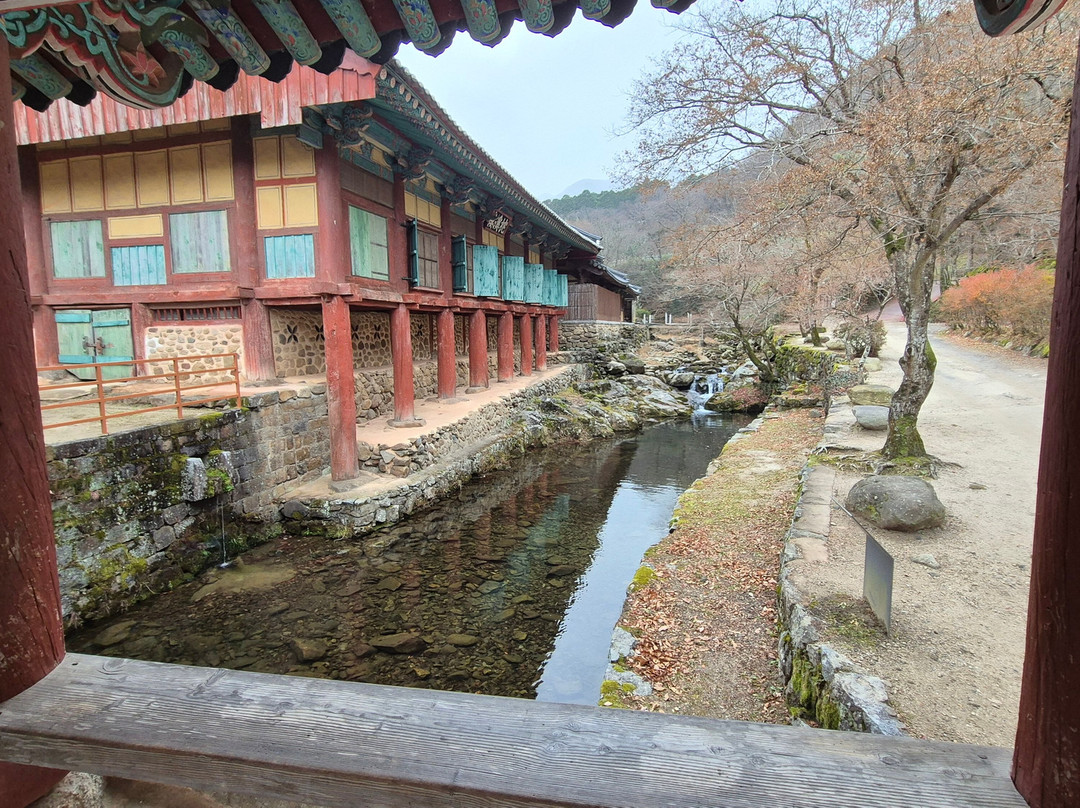 Songgwangsa Temple-顺天市必去景点