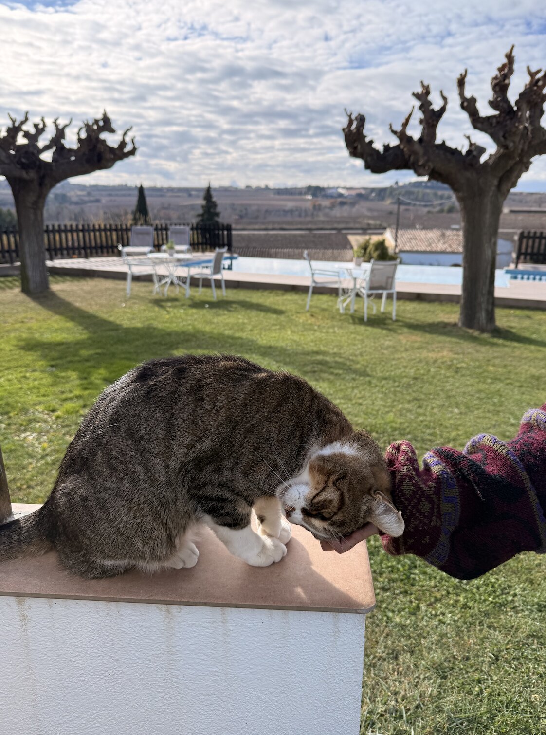 B&B Wine and Cooking Penedès-酒店景观