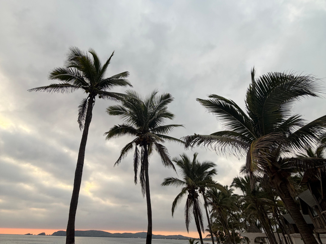 Hotel Villa Polinesia Chamela主图