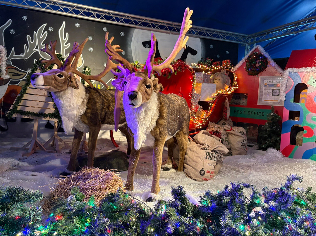 Kent Life-梅德斯通必去景点