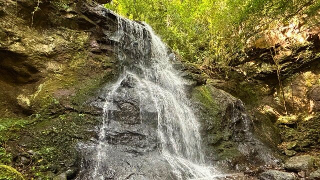 Eco Park Alta Mira-Sao Francisco de Paula必去景点