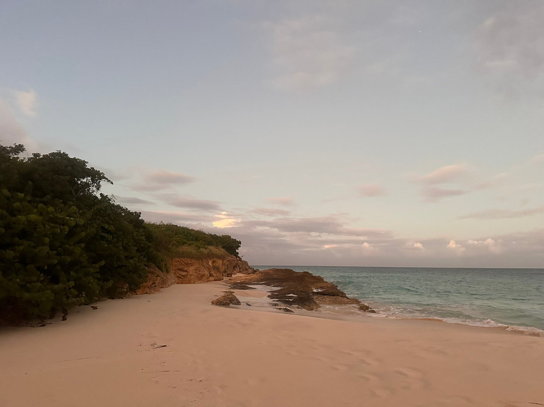 Quintessence Hotel主图