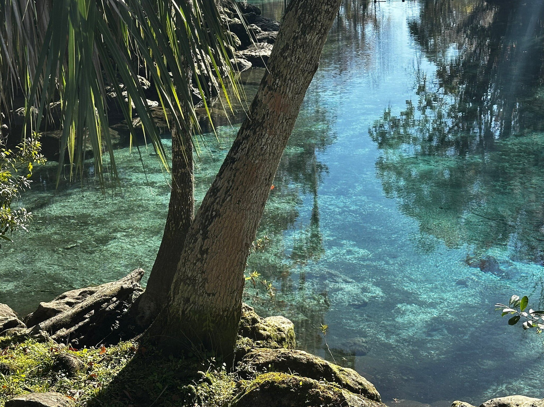 Three Sisters Springs-克里斯特尔里弗必去景点