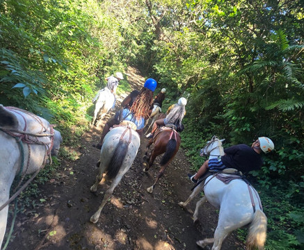 Alexonthebeach-Playas del Coco必去景点