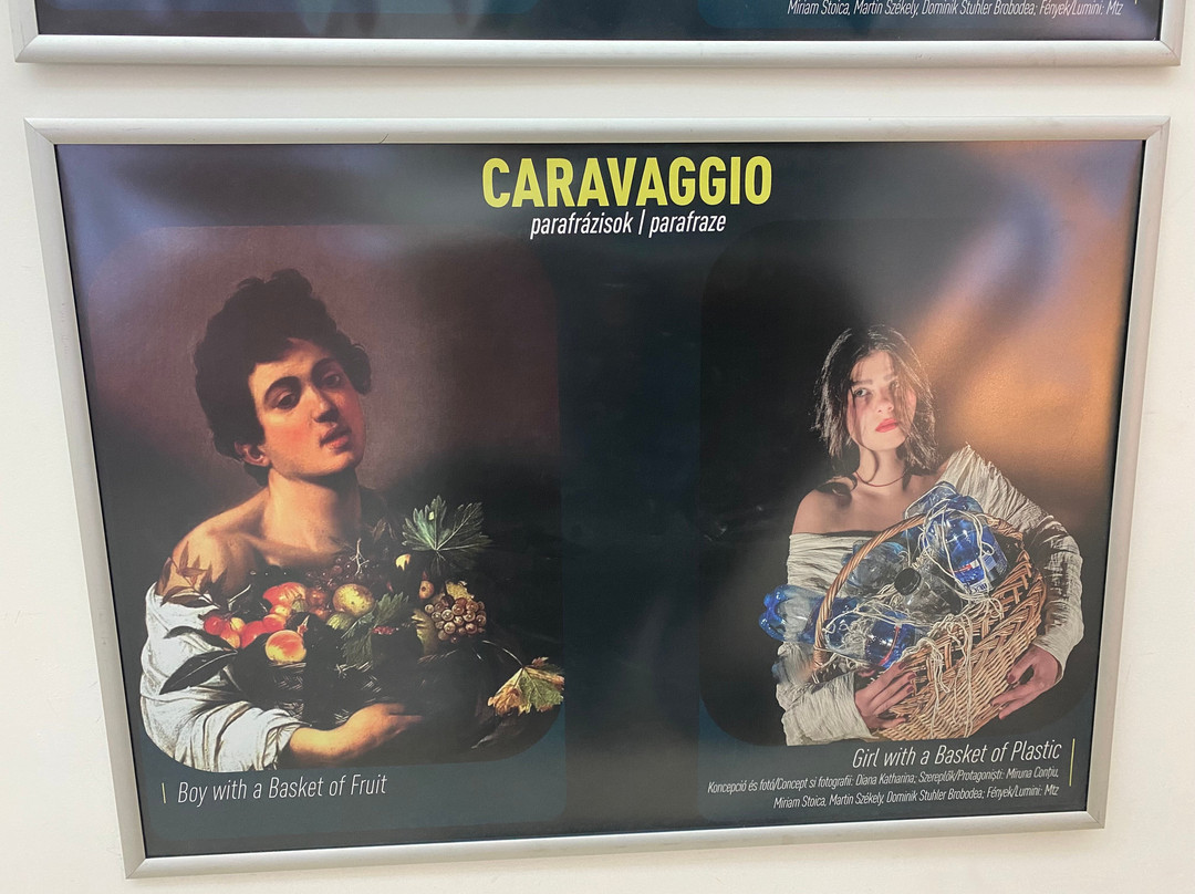 Muzeul Național de Artă Timișoara-蒂米什瓦拉必去景点