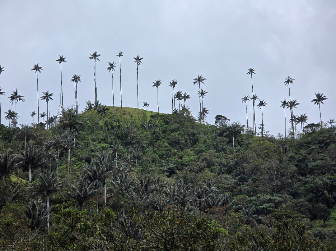 Salento Trekking-萨伦托必去景点