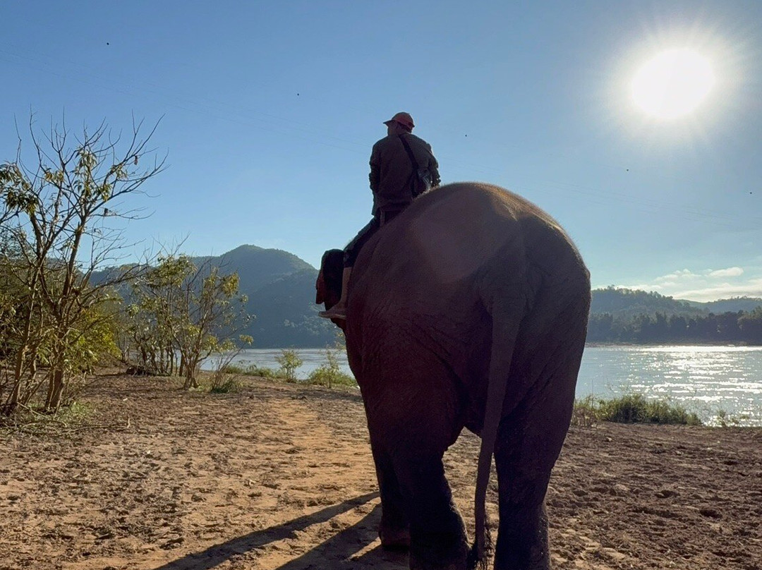 Manifa Elephant Camp-Sang Ha必去景点