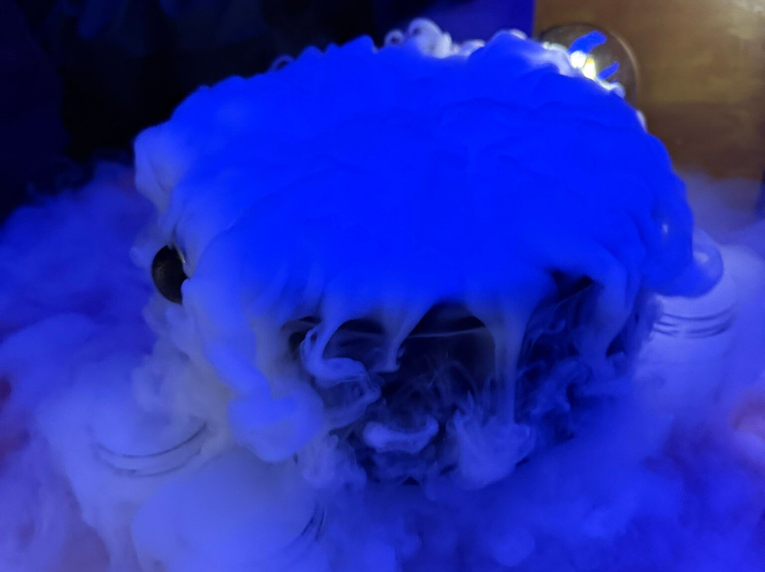 Elixer Room-海牙必去景点