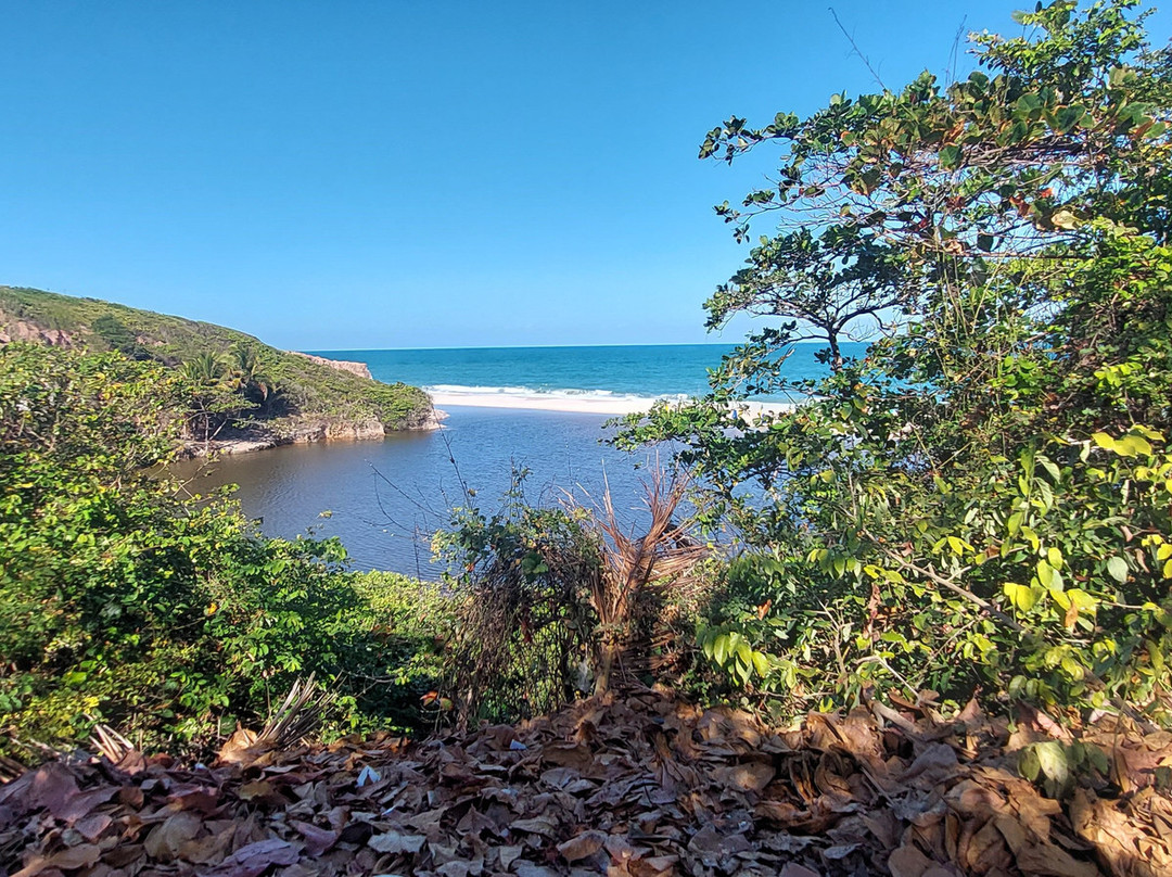 Praia Bela-Pitimbu必去景点