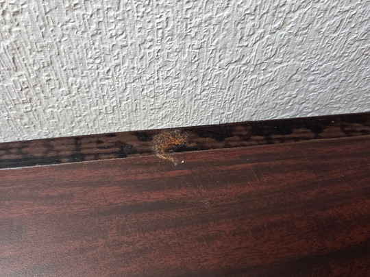 Ramada by Wyndham Spokane Valley主图