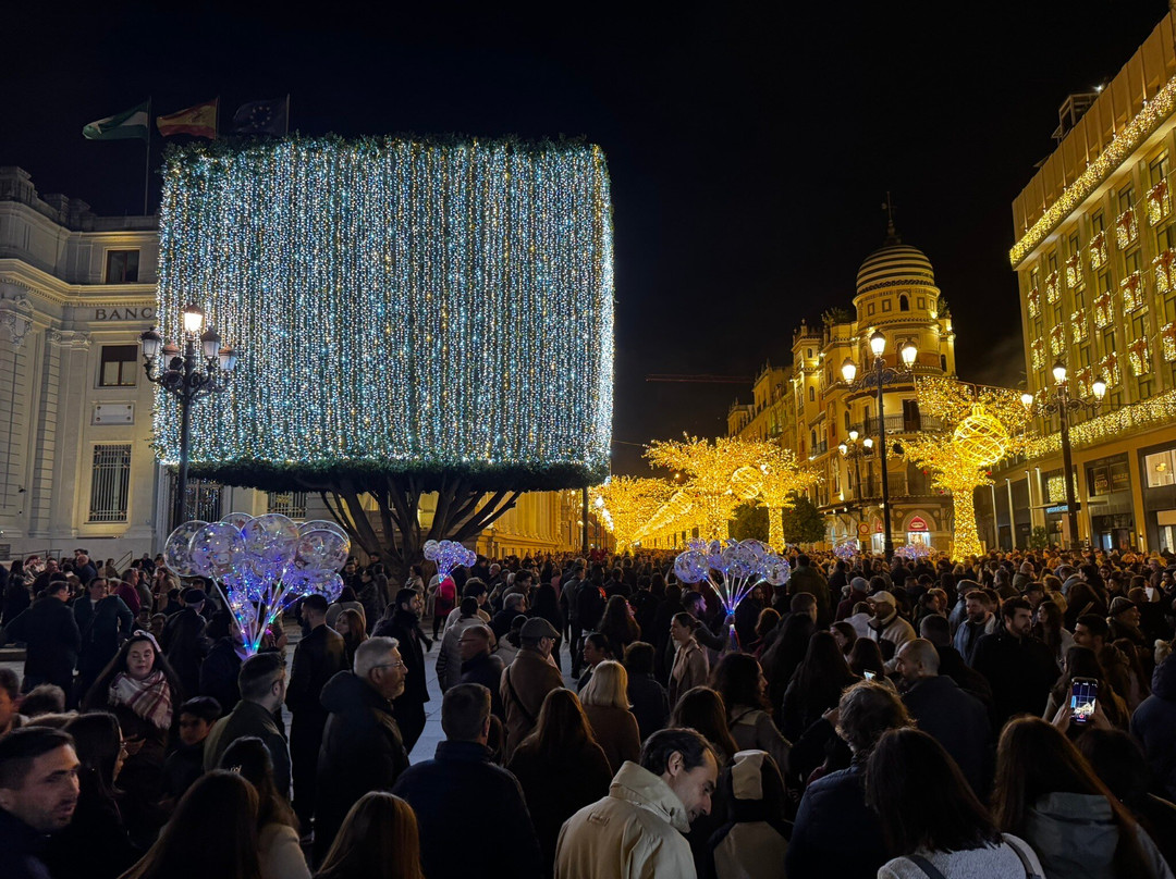 B&b Arena Sevilla主图