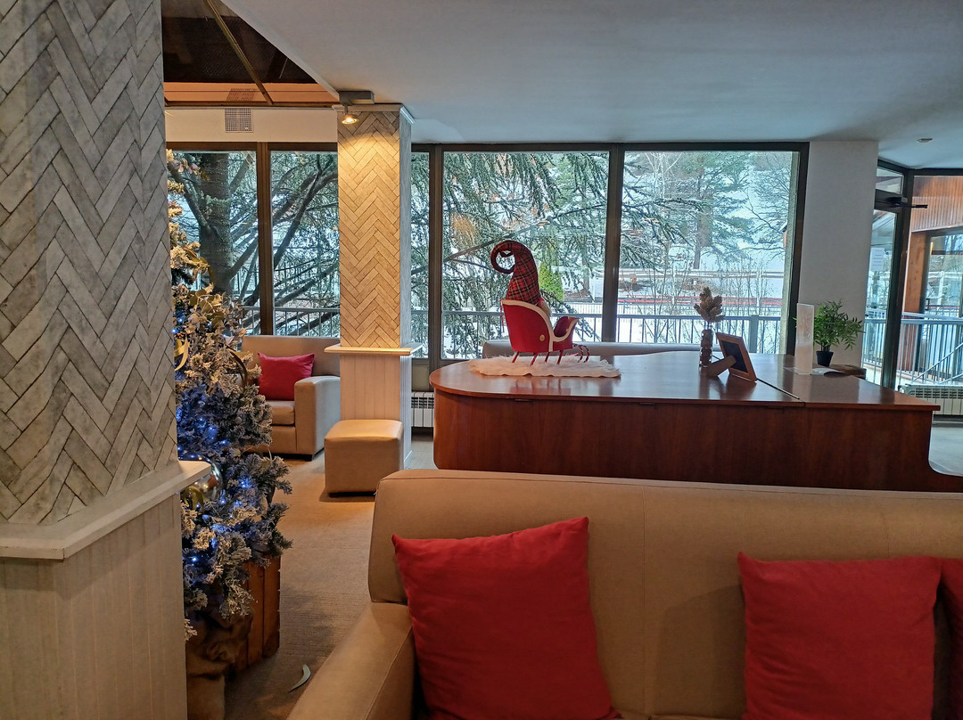 Hotel Sant Gothard主图