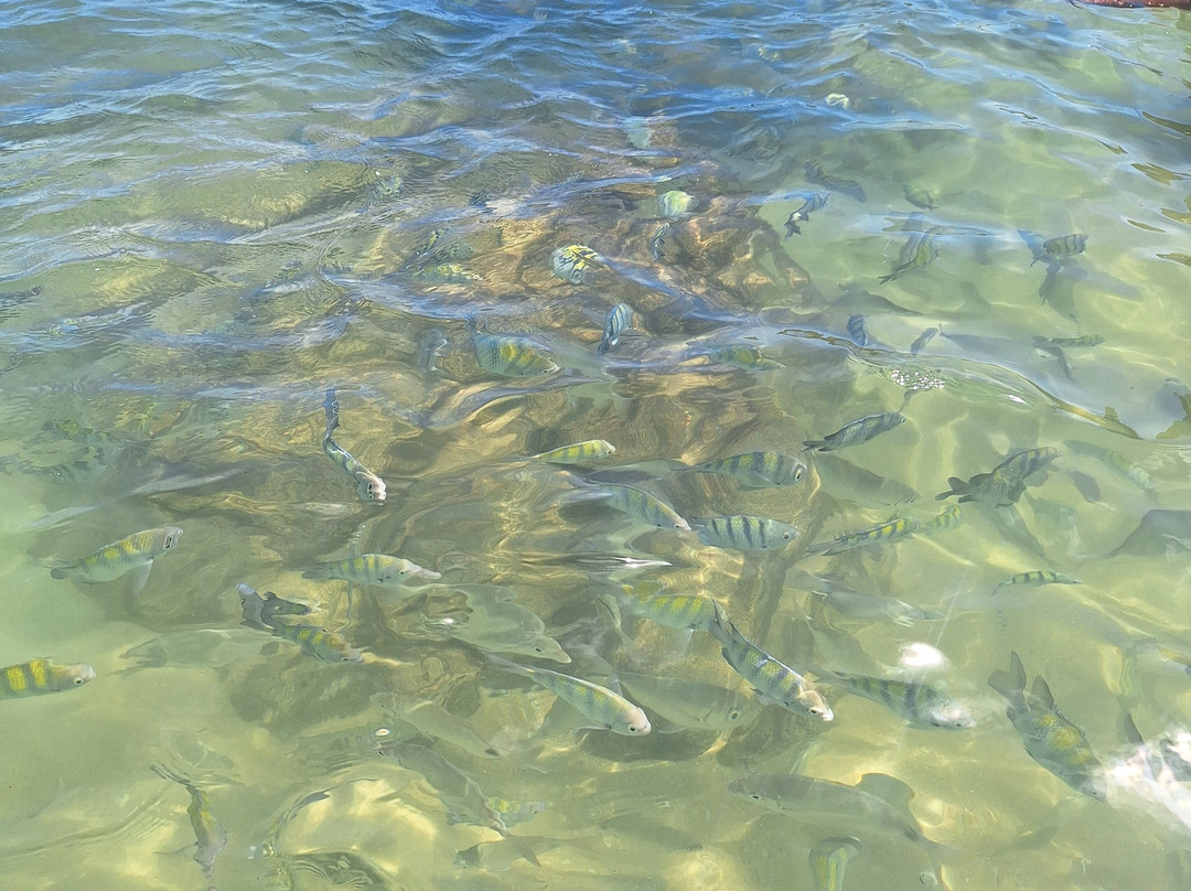 Lagoinha Beach-Bombinhas必去景点