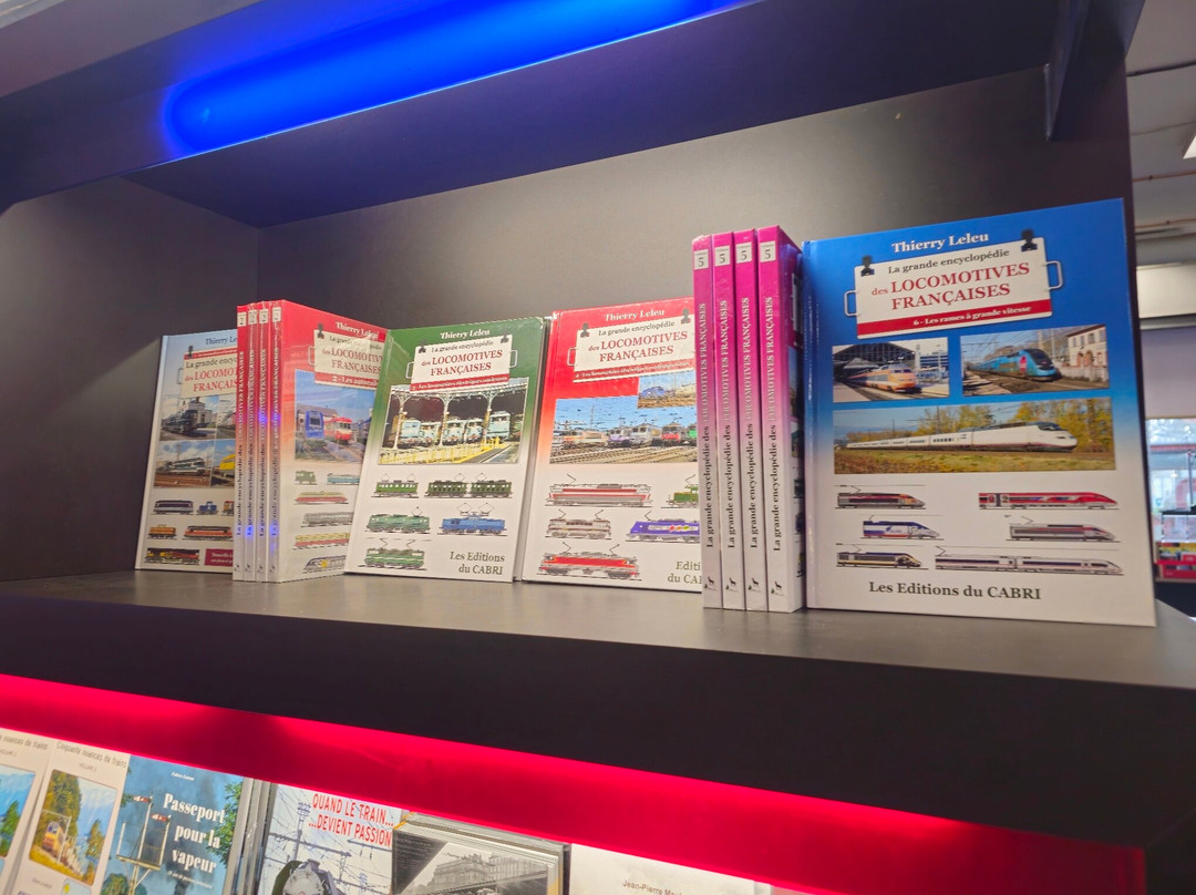 Cité du Train - Patrimoine SNCF-米卢斯必去景点