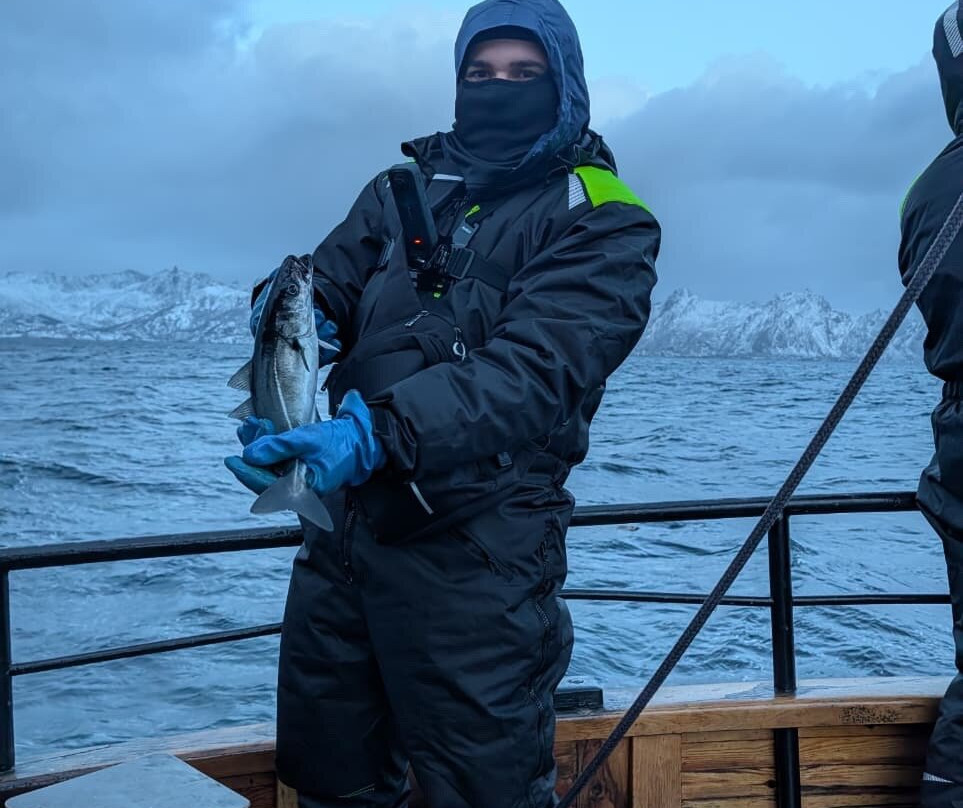 Go2Lofoten-斯沃尔韦尔必去景点