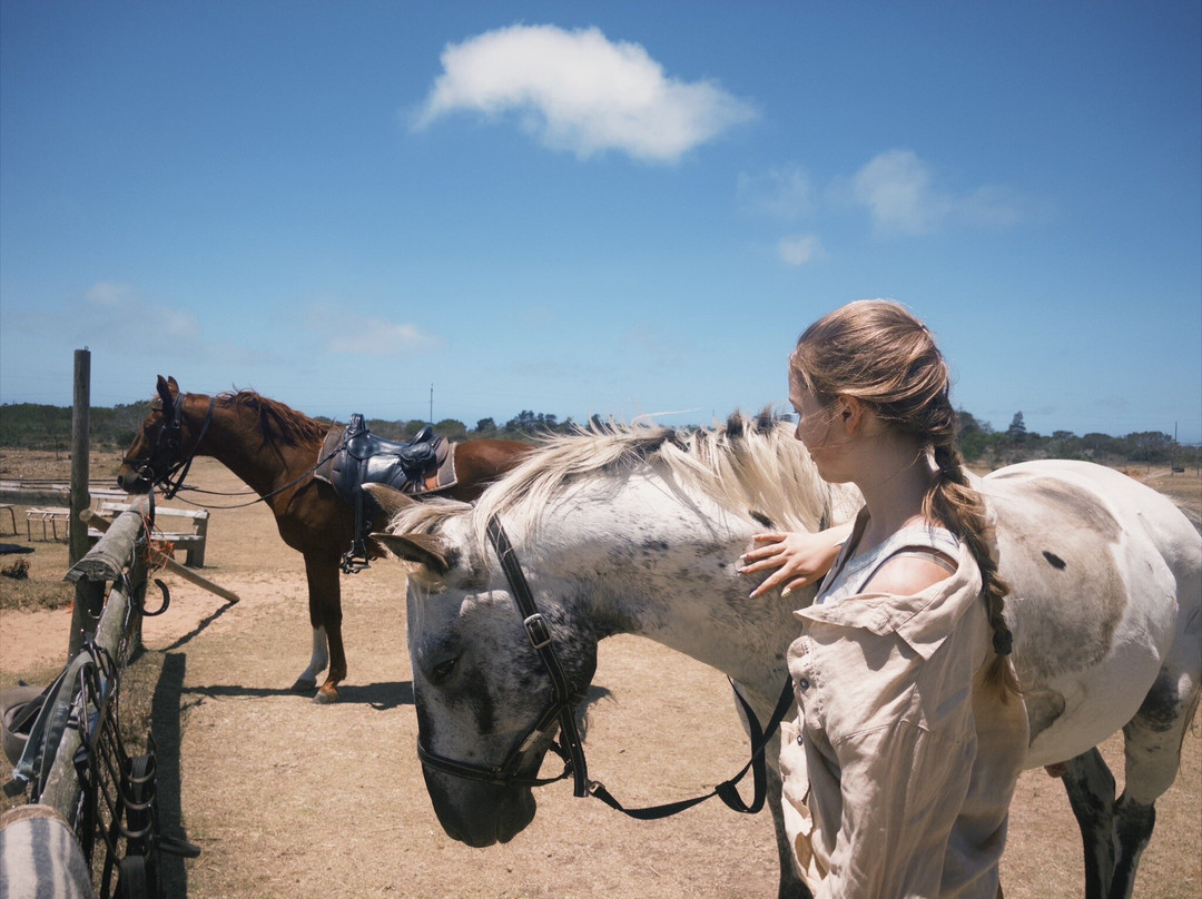 Adventure Horse Safari's-莫塞尔贝必去景点