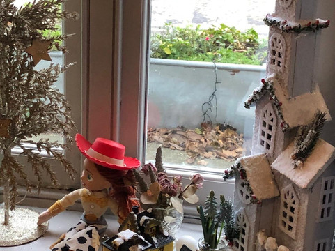 伊尔贾斯特阿姆斯酒店主图