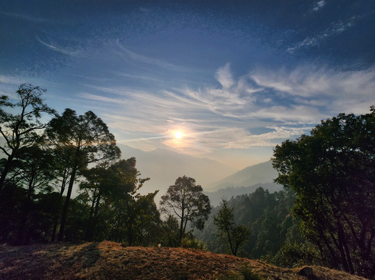 The Woods Retreat主图