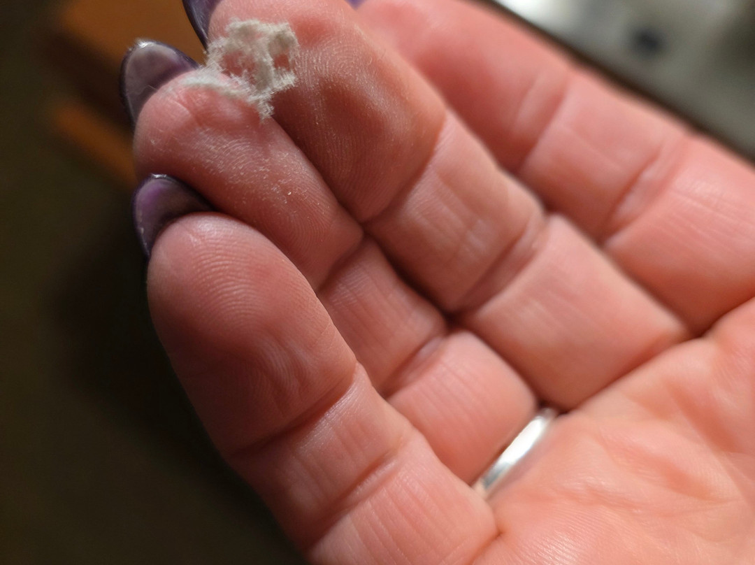 大西洋海岸希洛套房酒店主图